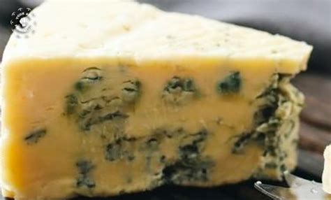 peynir küfü zararlı mı